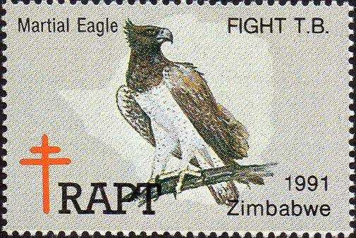 Zimbabwe - Diverse and Enchanting; Martial Eagle