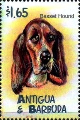 Stamp, Basset hound, Antigua and Barbuda,  , Dogs