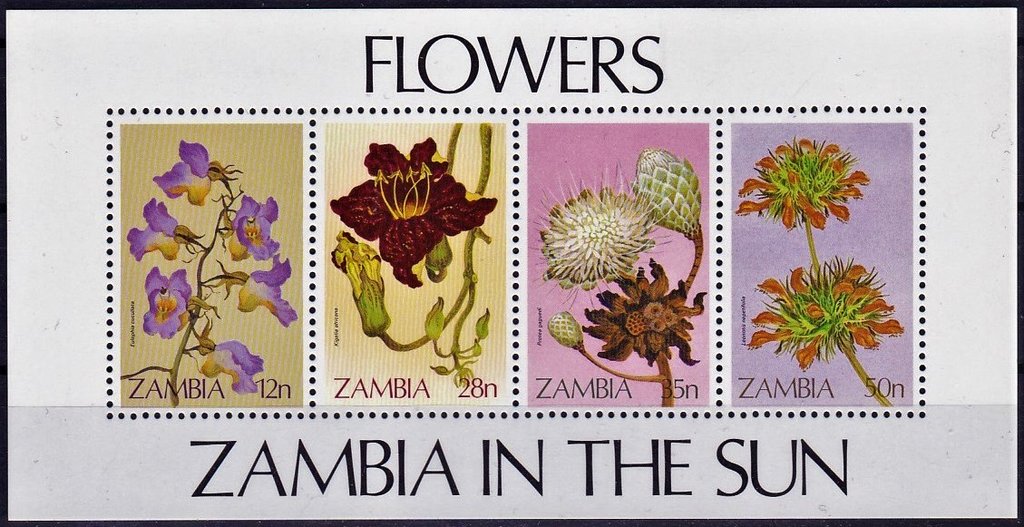 Various Flowers
