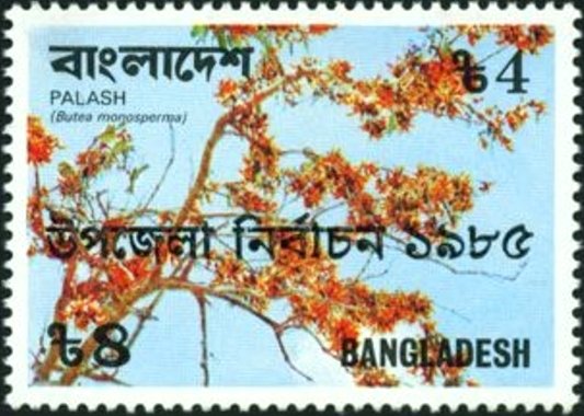 Butea monosperma