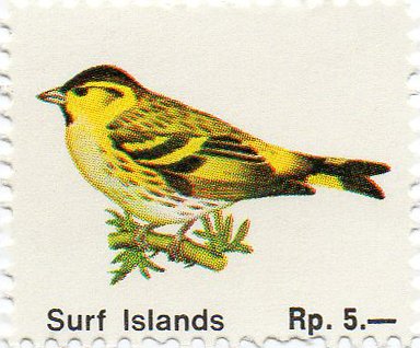 Surf Islands - Birds