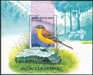 Souvenir Sheet, Western yellow wagtail (Motacilla flava), Benin,  , Animals (Fauna), Birds