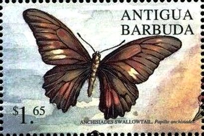 Stamp, Anchisiades swallowtail, Antigua and Barbuda,  , Butterflies, Insects
