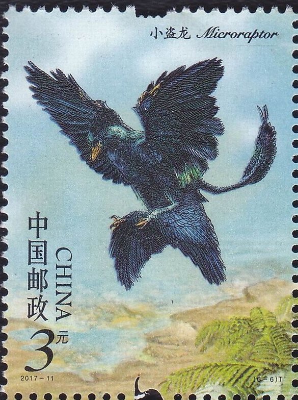 Microraptor