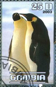 Stamp, Polar Birds, Cinderellas,  , Animals (Fauna), Birds
