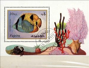 Souvenir Sheet, Chaetodon falcula, Fujairah (Fujeira),  , Animals (Fauna), Fishes, Sea Life