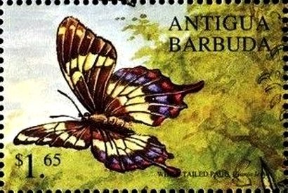Stamp, White-tailed page, Antigua and Barbuda,  , Butterflies, Insects