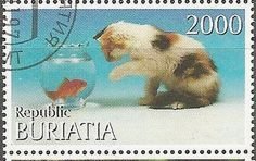Cats