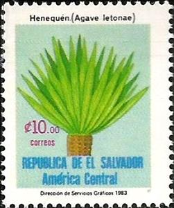 Stamp, Agave letonae, El Salvador,  , Agriculture, Plants (Flora)