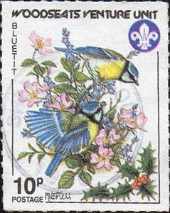 Stamp, Garden Birds - Blue Tit, Cinderellas,  , Birds