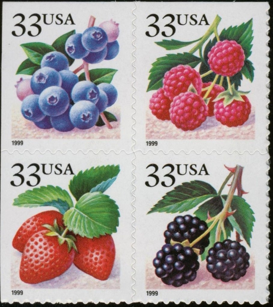 Fruit Berries