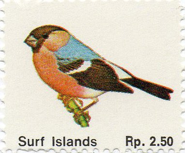 Surf Islands - Birds - Bullfinch