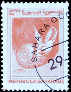 Stamp, Fennec (Vulpes zerda), Cinderellas,  , Animals (Fauna), Foxes, Mammals
