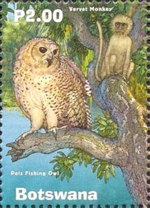 Stamp, Vervet monkey and Pels fishing owl, Botswana,  , Animals (Fauna)