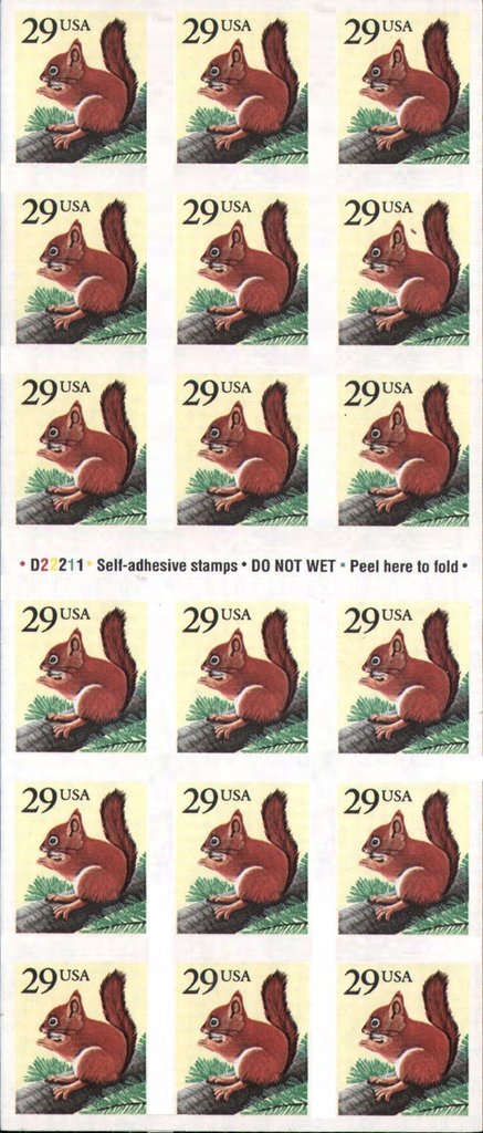 Red Squirrel (Sciurus vulgaris)