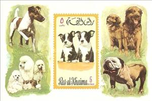Souvenir Sheet, Canis Familiaris, Ras al Khaimah,  , Dogs