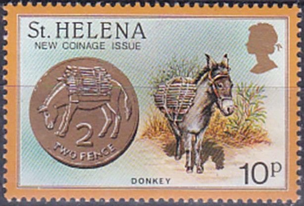 Donkey