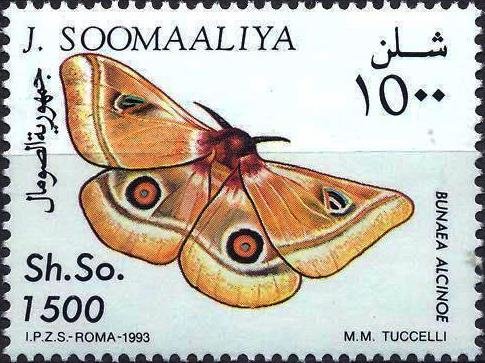 Bunaea alcinoe