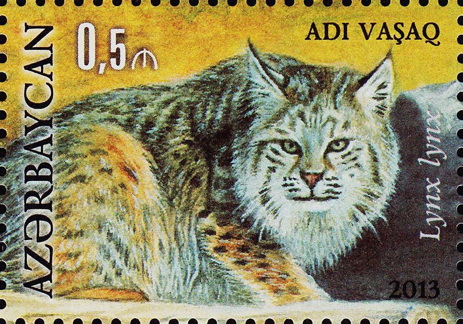 Lynx lynx