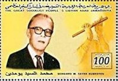 Mohamed M. Sayed Bumedyan