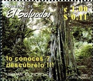 Stamp, Forest, El Salvador,  , Forests, Landscapes, Rainforest