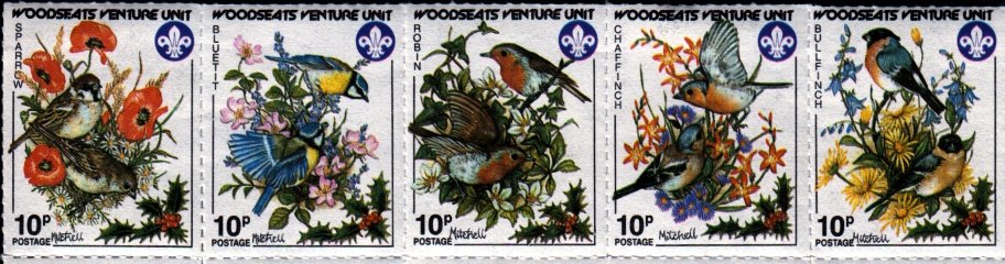 Garden Birds Set (5x10p)