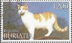 Cats