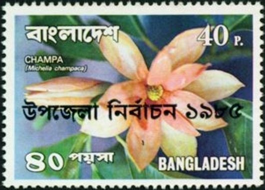 Michelia champaca