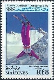 Free-style ski jump