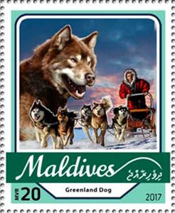 Stamp, Greenland Dog, Maldives,  , Dogs