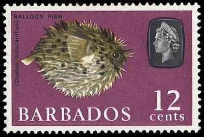 Stamp, Long-spine Porcupinefish (Diodon holocanthus), Barbados,  , Animals (Fauna), Fishes, Sea Life