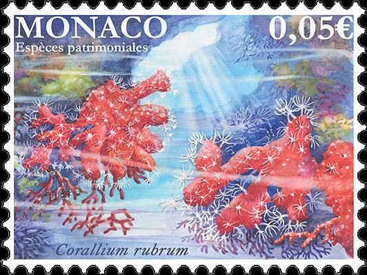 Red Coral