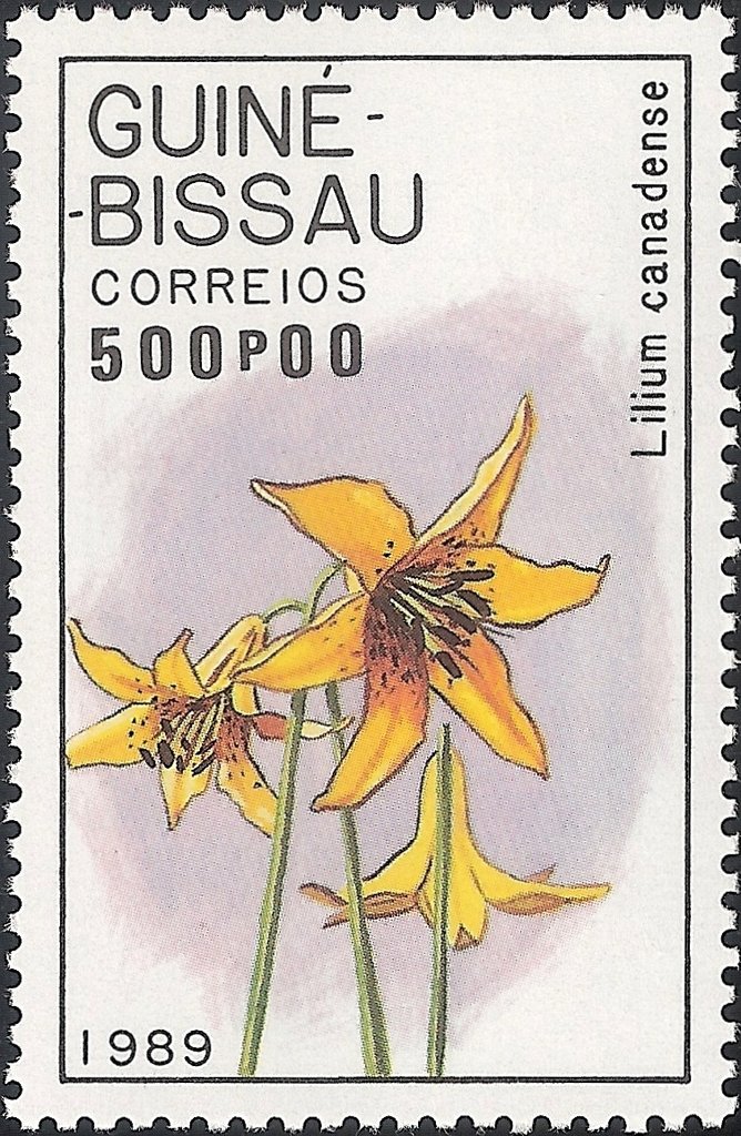 Canadense