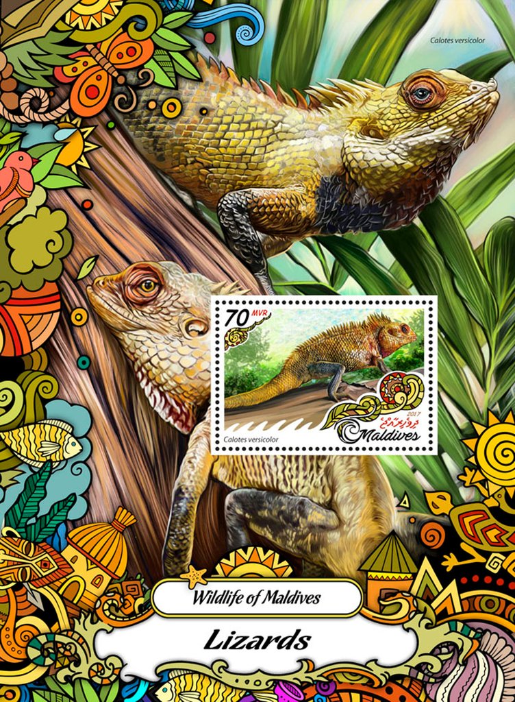 Wilflife of Maldives: Lizards