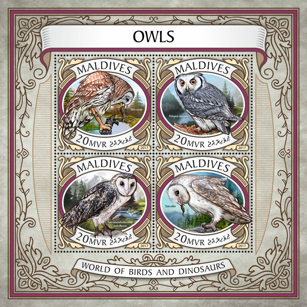 Owls