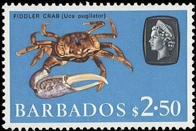 Stamp, Fiddler Crab (Uca vocans), Barbados,  , Animals (Fauna), Crabs, Crustaceans, Sea Life