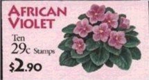 African Violet