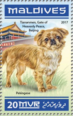 Pekingese - Tiananmen, Gate of Heavenly Peace, Beijing