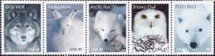Arctic Animals