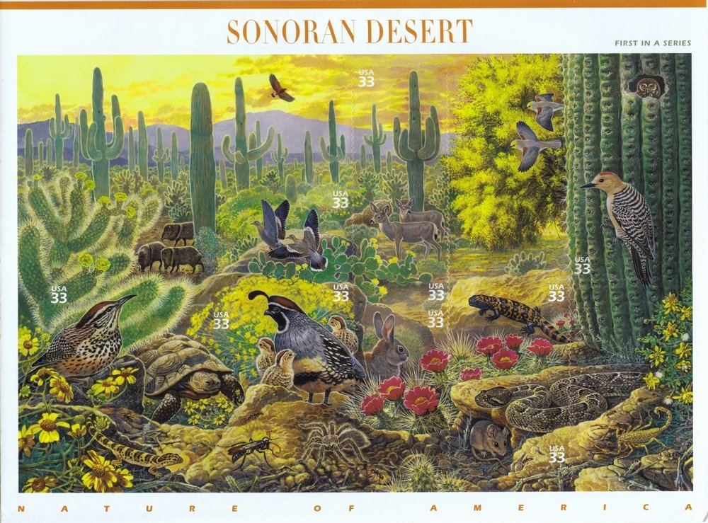 Sonoran Desert