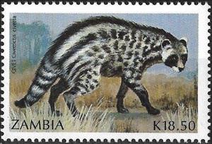 Stamp, Civettictis civetta, Zambia,  , Animals (Fauna), Mammals