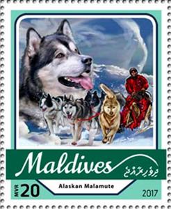 Stamp, Alaskan Malamute, Maldives,  , Dogs