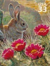 Stamp, Desert Cottontail (Sylvilagus auduboni), United States of America,  
