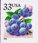 Fruit Berries:Blueberries
