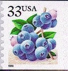 Fruit Berries:Blueberries