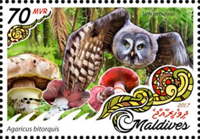 Stamp, Strix nebulosa & Agaricus bitorquis, Maldives,  