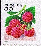 Fruit Berries: Raspberries