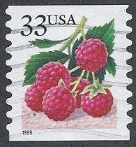 Fruit Berries:Raspberries