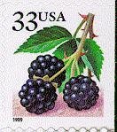 Fruit Berries:Blackberries