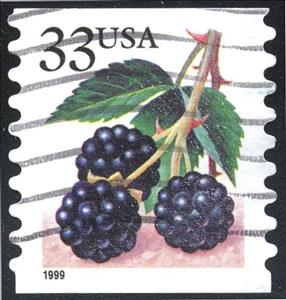 Stamp, Fruit Berries: Blackberries, United States of America,  , Fruits